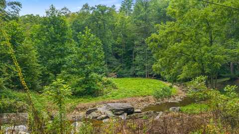 00 Cane Creek Mtn Rd, Tellico Plains, TN 37385