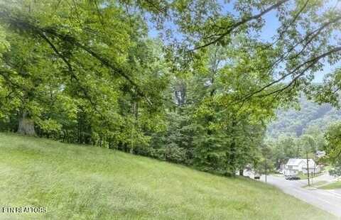 Lot Tractd 335 Hillcrest Drive, Cumberland Gap, TN 37724