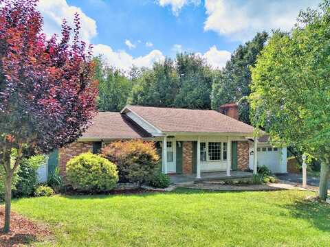 1917 MONTE VISTA Drive, Pulaski, VA 24301