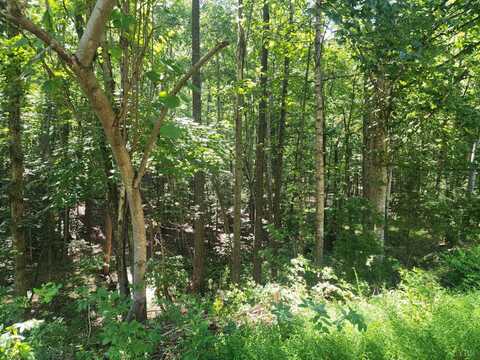 0 Knoll Woods Drive, Rustburg, VA 24588