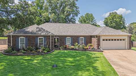 3045 HONEY TREE, Germantown, TN 38138