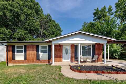 814 Laredo Avenue, Saint Louis, MO 63138
