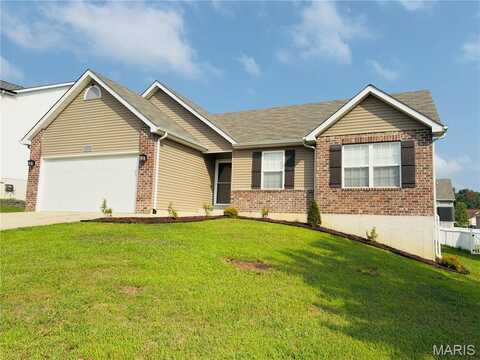 4115 S Milford, Hillsboro, MO 63050