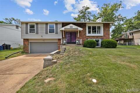380 Genoa Drive, Ballwin, MO 63021