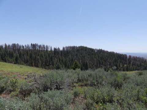 2880 S Grays Creek Road, Indian Valley, ID 83682
