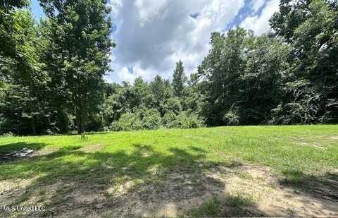 Old Hwy 49, Saucier, MS 39574
