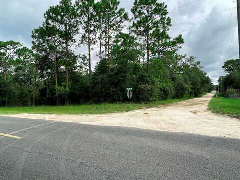 30TH STREET, MORRISTON, FL 32668