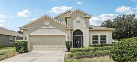 3207 ZANDER DRIVE, GRAND ISLAND, FL 32735