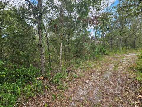 ALFORD LANE, SPRING HILL, FL 34610