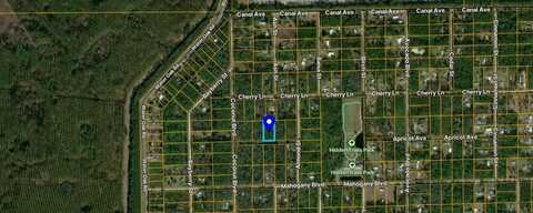 6296 ALDER AVENUE, BUNNELL, FL 32110