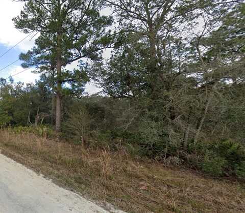 OTTER DR, WEBSTER, FL 33597