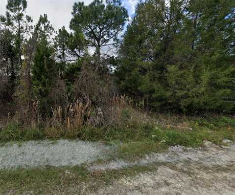 GLENCHESTER DRIVE, WEBSTER, FL 33597