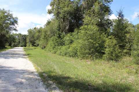 6351 BILTMORE AVENUE, WEBSTER, FL 33597