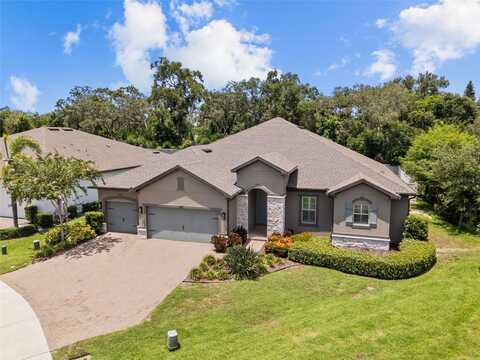 1541 FOREST GLEN COURT, PALM HARBOR, FL 34683