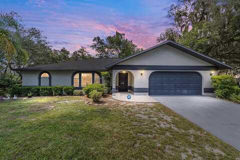 16789 SE 69TH LANE, OCKLAWAHA, FL 32179