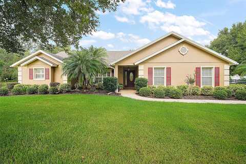 7685 LAKE ANGELINA DRIVE, MOUNT DORA, FL 32757