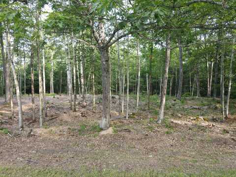 Lot 4 Oak Pond Road, Skowhegan, ME 04967