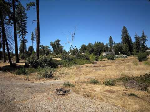 1645 Wagstaff Road, Paradise, CA 95969