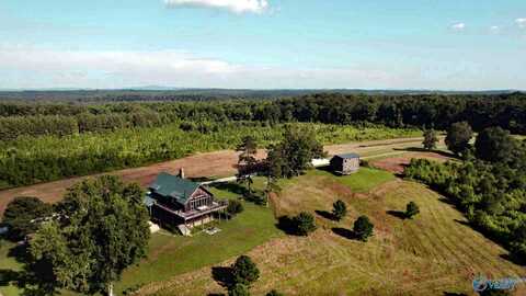 910 +/- Acres, Pell City, AL 35182