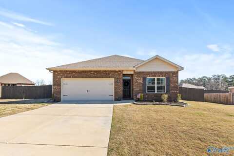 503 Raccoon Way, Hartselle, AL 35640