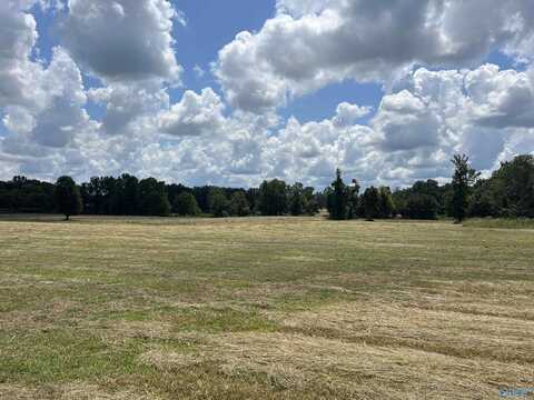 22 Acres County Road 125, Moulton, AL 35650