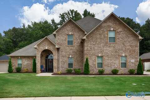 25403 Emme Kate Lane, Madison, AL 35756