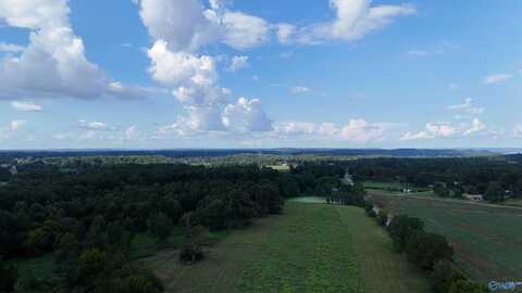 26.4 Acres Brashiers Chapel Road, Arab, AL 35016