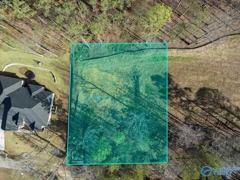 Lot 223 Woodmont Drive, Cherokee Ridge, AL 35175