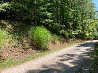 Lot 815 Lonsdale Lane, Ranger, GA 30734