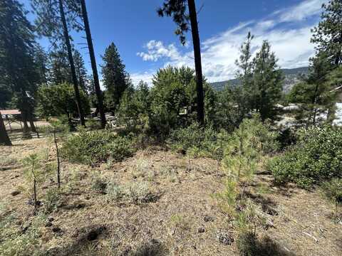 1363 ARTHUR CT, KETTLE FALLS, WA 99141