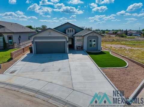 1842 Emerald Court, Carlsbad, NM 88220