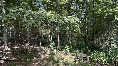1820 Mountainside Drive, Blacksburg, VA 24060