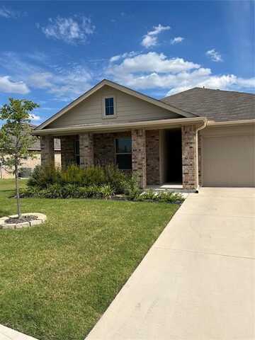 725 Emmons Creek Street, Justin, TX 76247