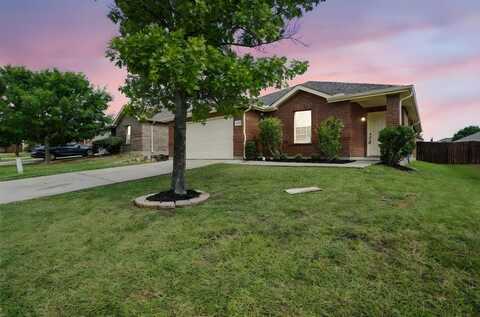 1409 Sun Breeze Drive, Little Elm, TX 75068