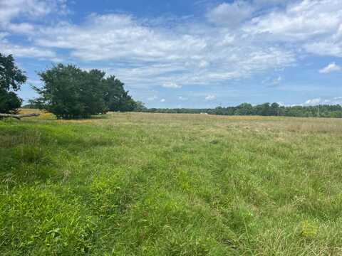 Tract 21 Bean Patch Loop, Howe, OK 74940