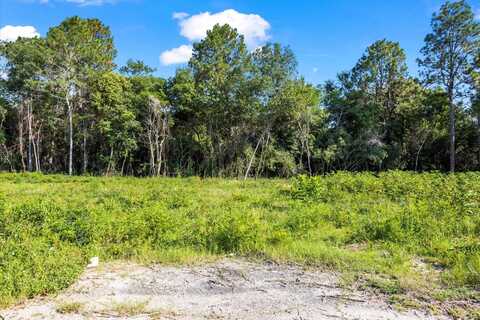 000 Walker Ave, New Ellenton, SC 29809