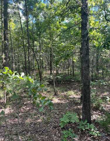 Tract 2 SE 1083 Road Ave., Red Oak, OK 74563