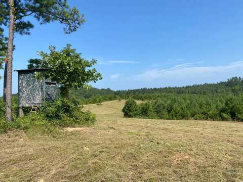 0 Pleasant Ridge Church Road, Fayette, AL 35555