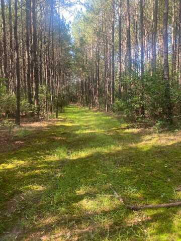 TBD Webb Rd., Spearsville, LA 71277