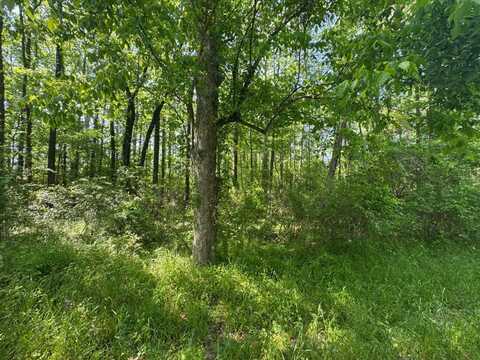 0001 Old Highway 471, Brandon, MS 39042
