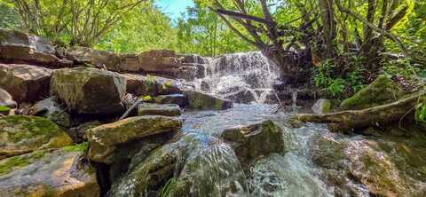 Ellison Ridge Road, Jumping Branch, WV 25969