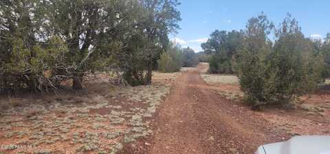 160 Acres N Of Fort Rock, Seligman, AZ 86337