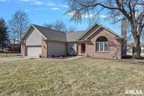 17585 IVY Drive, Petersburg, IL 62675
