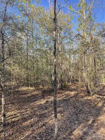13.86 Walling Rd, Milton, FL 32570
