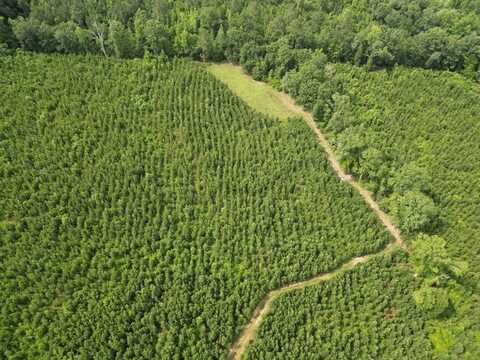 590 County Road 204, Ariton, AL 36311