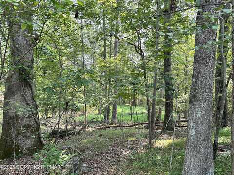 Timber Hill Rd 2B, Henryville, PA 18332