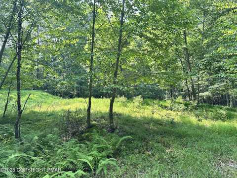 Timber Hill Rd 3C, Henryville, PA 18332
