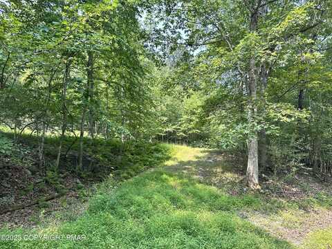 Private Dr 1C, Henryville, PA 18332
