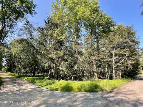 C/8 Bald Eagle Tr and Campfire Ln, Gouldsboro, PA 18424