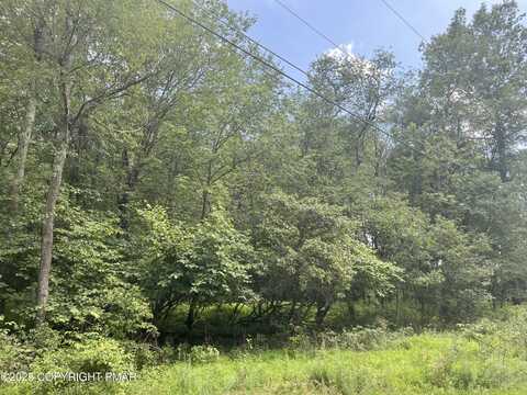 224 & 225 Bluejay Drive, Jim Thorpe, PA 18229